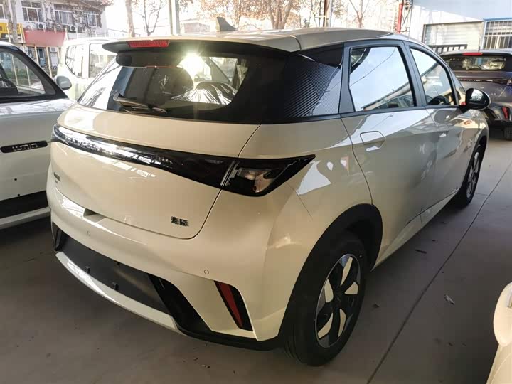 Фото 7 - BYD Dolphin