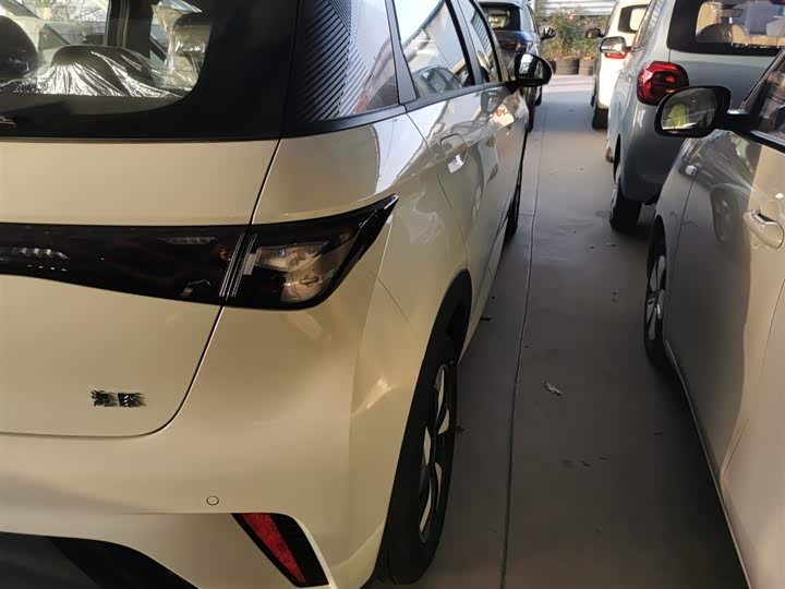 Фото 8 - BYD Dolphin