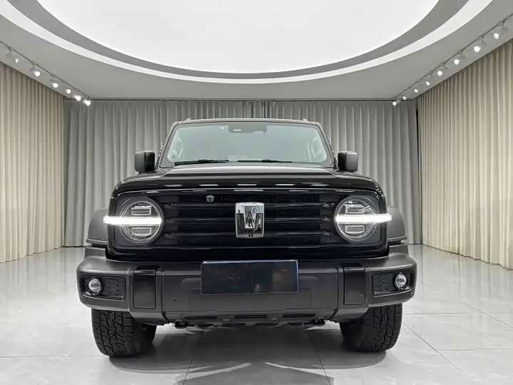 Фото 2 - Tank 300