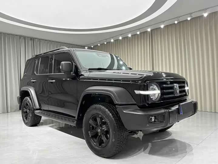 Фото 3 - Tank 300