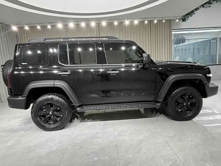 Фото 4 - Tank 300