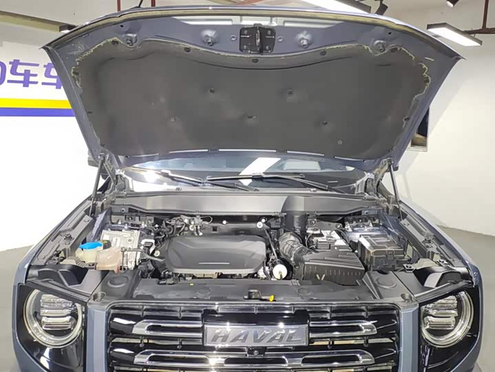 Фото 10 - Haval Dargo