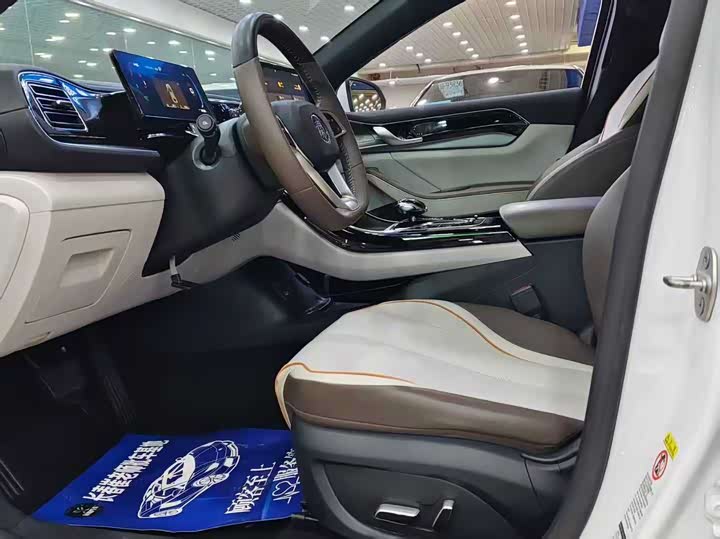 Фото 4 - BYD Qin Plus