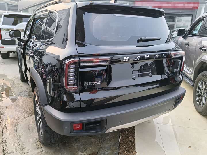 Фото 23 - Haval Dargo