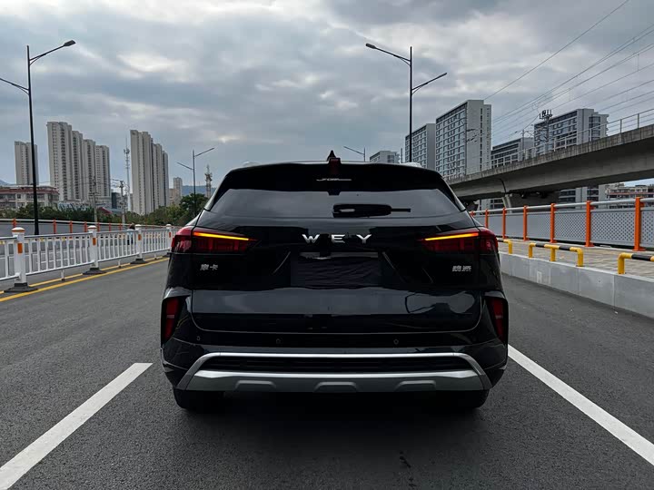 Фото 16 - Wey Mocha