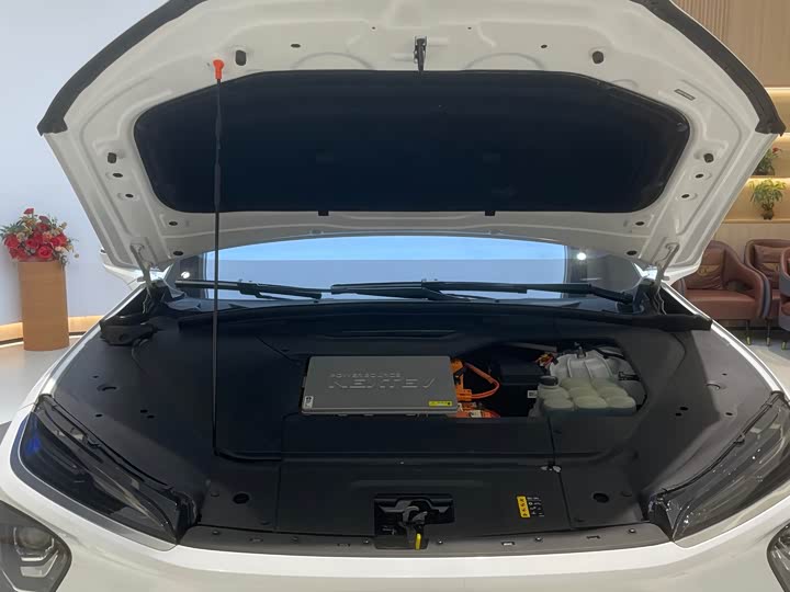 Фото 25 - Nio EC6