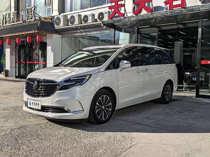 Фото 1 - Buick GL8 ES