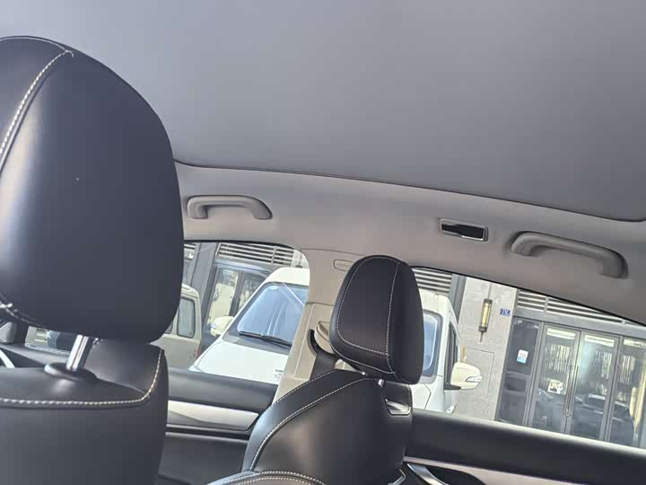 Фото 9 - Geely Tugella S