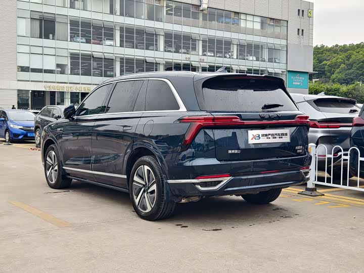 Фото 4 - Wey Lanshan