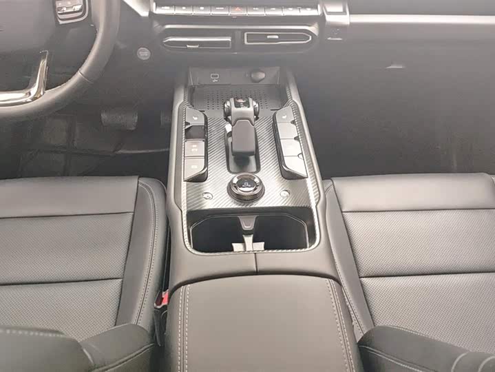 Фото 16 - Haval H-Dog