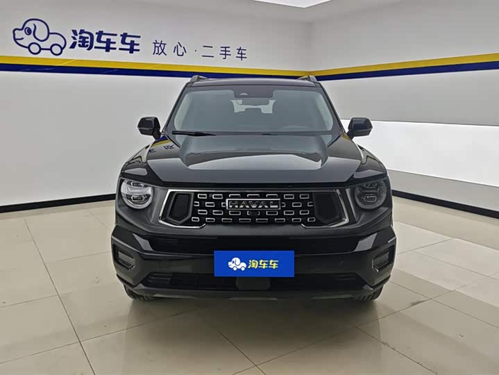 Фото 2 - Haval H-Dog