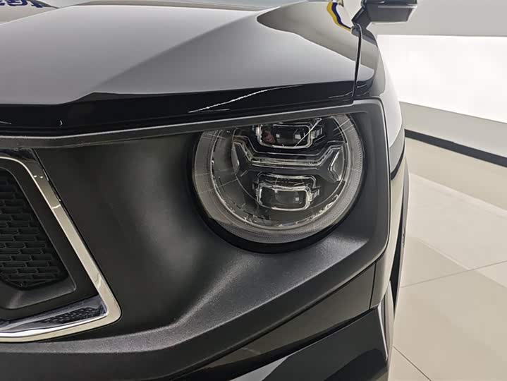 Фото 5 - Haval H-Dog