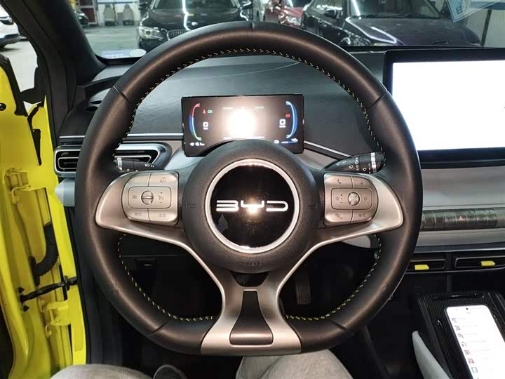 Фото 11 - BYD Seagull