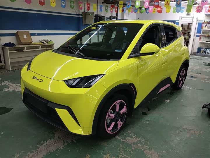 Фото 2 - BYD Seagull