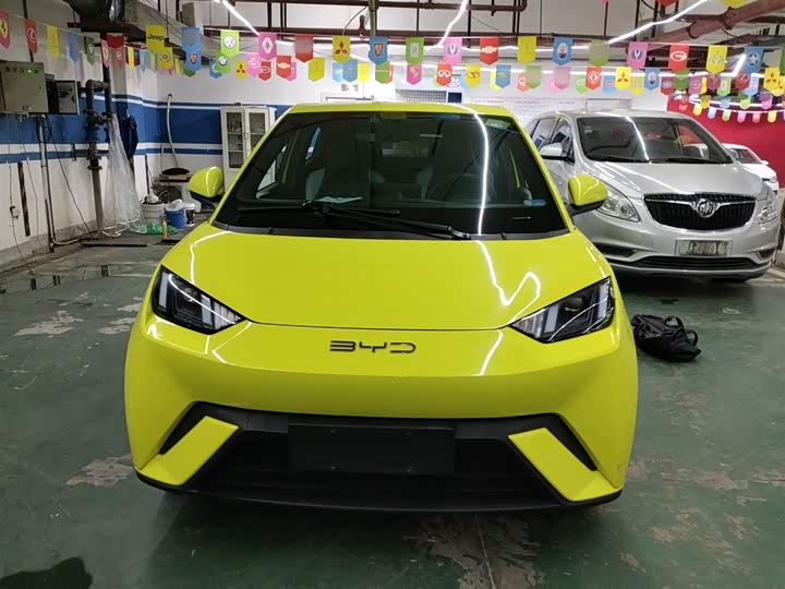 Фото 3 - BYD Seagull