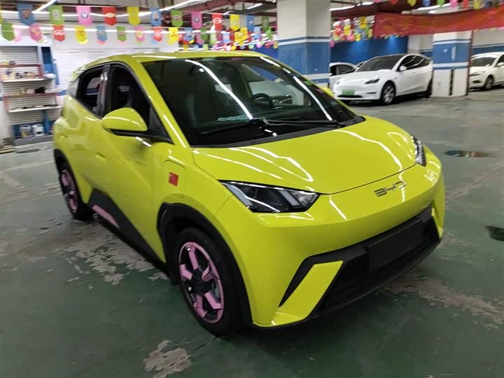 Фото 4 - BYD Seagull