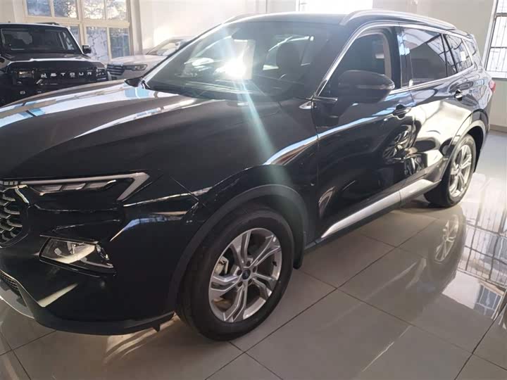 Фото 5 - Ford Equator Sport