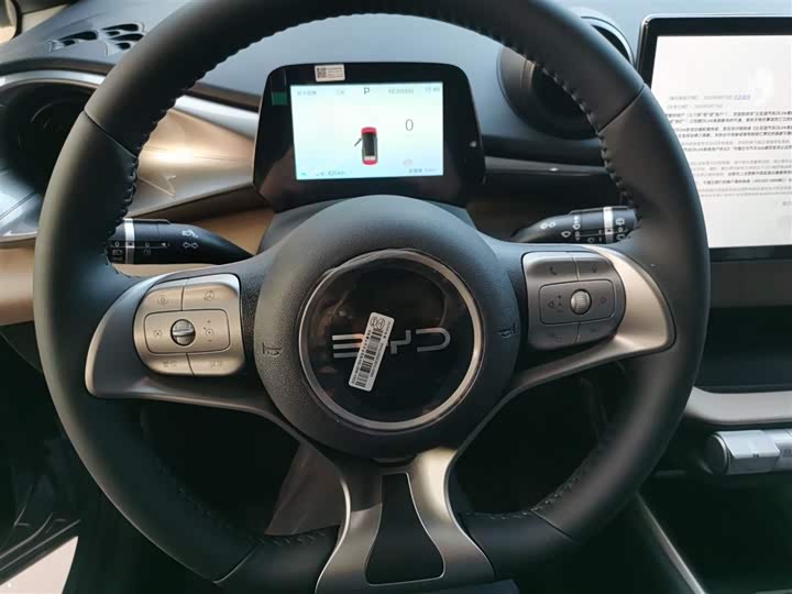 Фото 11 - BYD Dolphin