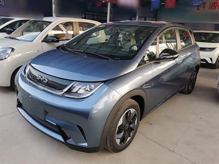 Фото 2 - BYD Dolphin