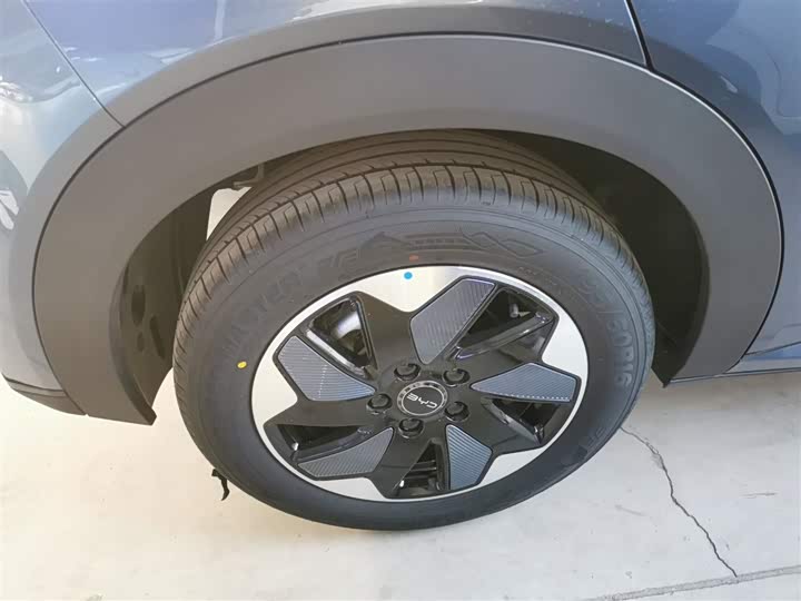 Фото 26 - BYD Dolphin