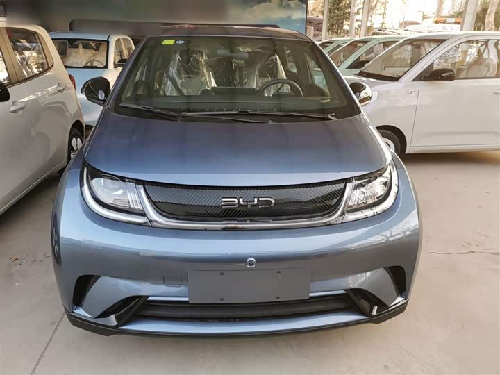 Фото 3 - BYD Dolphin