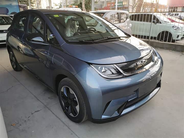 Фото 4 - BYD Dolphin