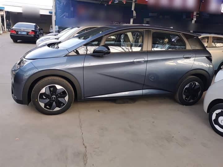 Фото 5 - BYD Dolphin