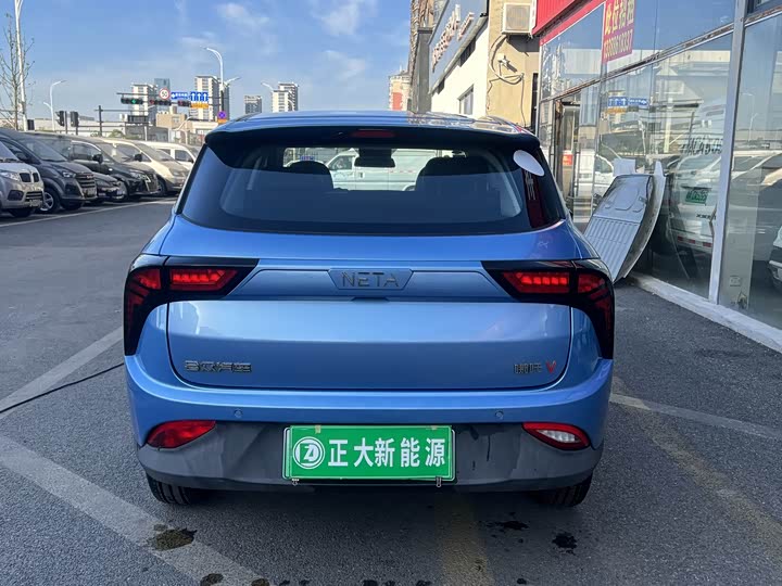 Фото 15 - Hozon V