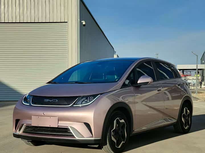 Фото 1 - BYD Dolphin