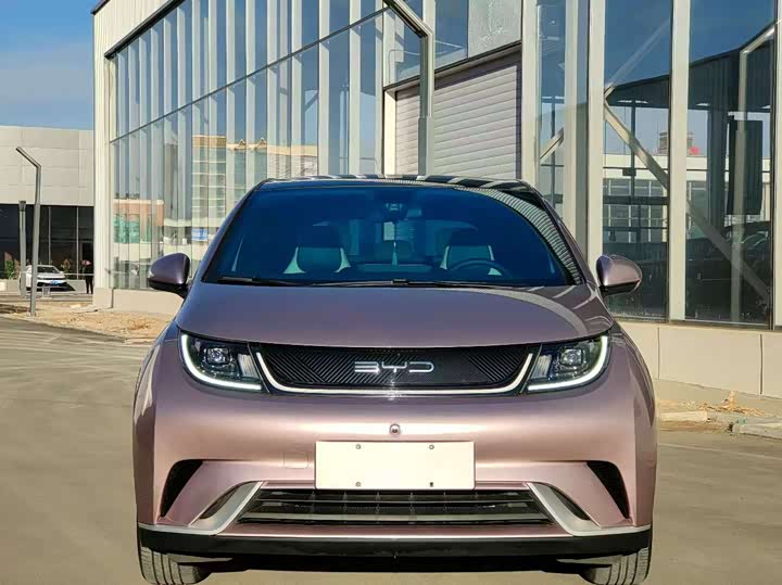 Фото 2 - BYD Dolphin