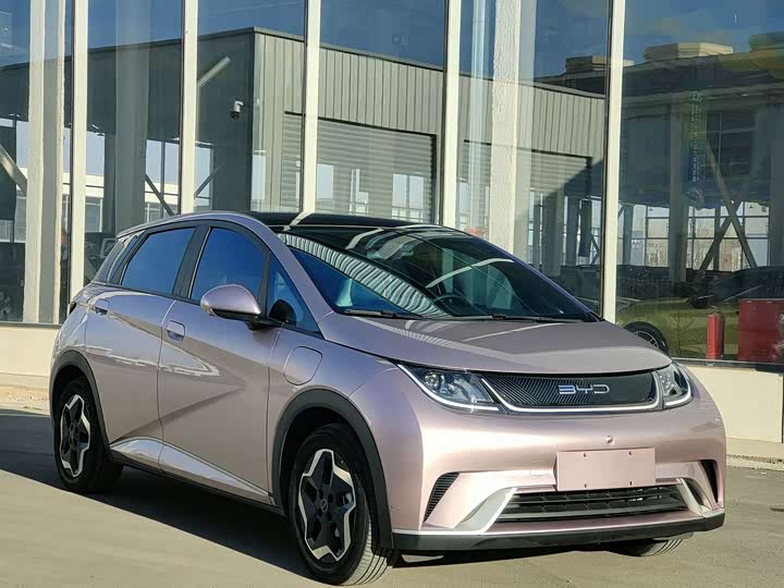 Фото 3 - BYD Dolphin