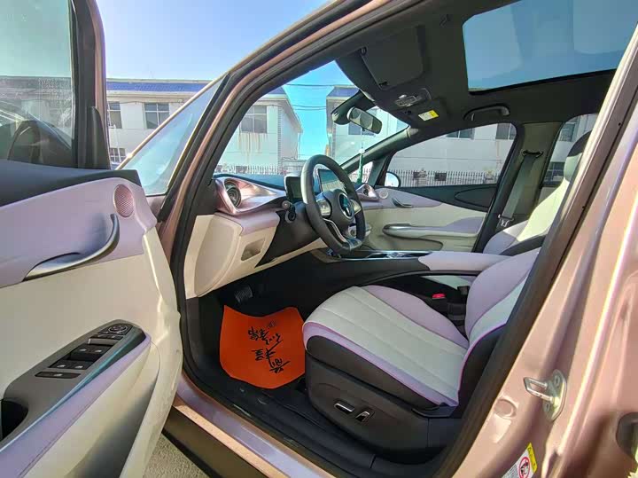 Фото 4 - BYD Dolphin