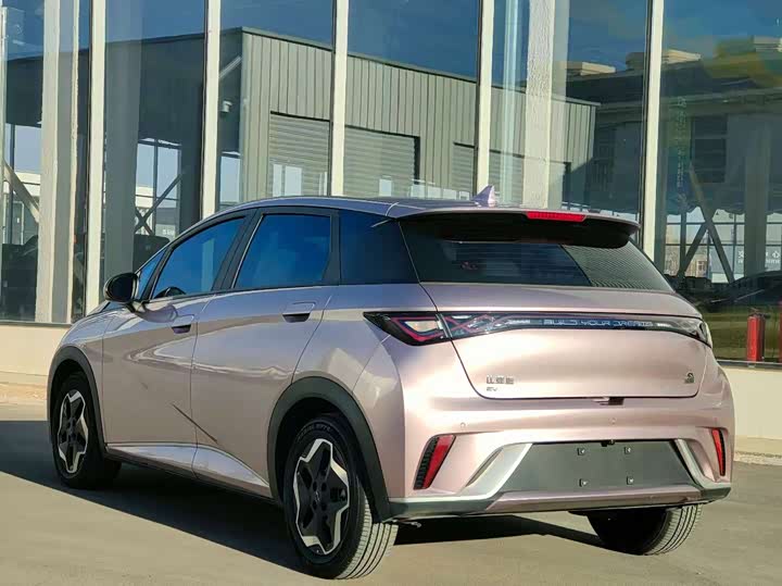 Фото 7 - BYD Dolphin