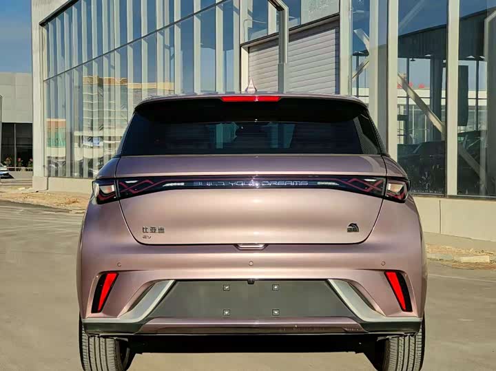 Фото 8 - BYD Dolphin