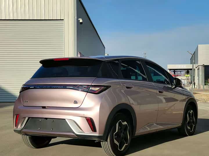 Фото 9 - BYD Dolphin