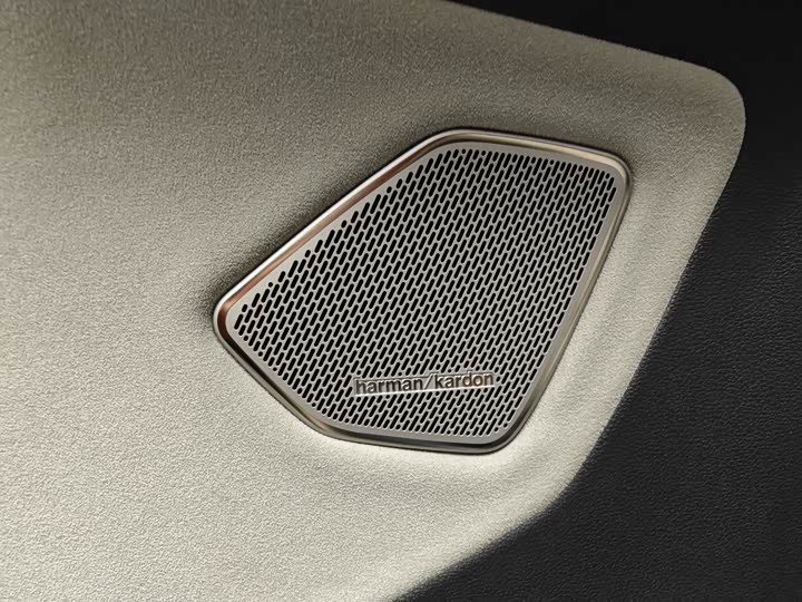 Фото 19 - Volkswagen Talagon