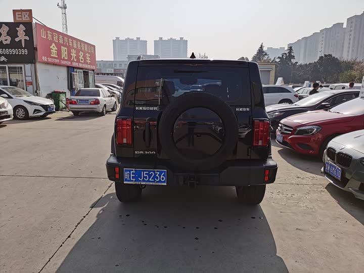 Фото 7 - Tank 300