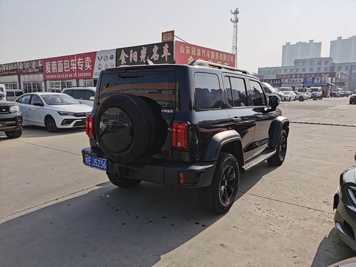 Фото 8 - Tank 300