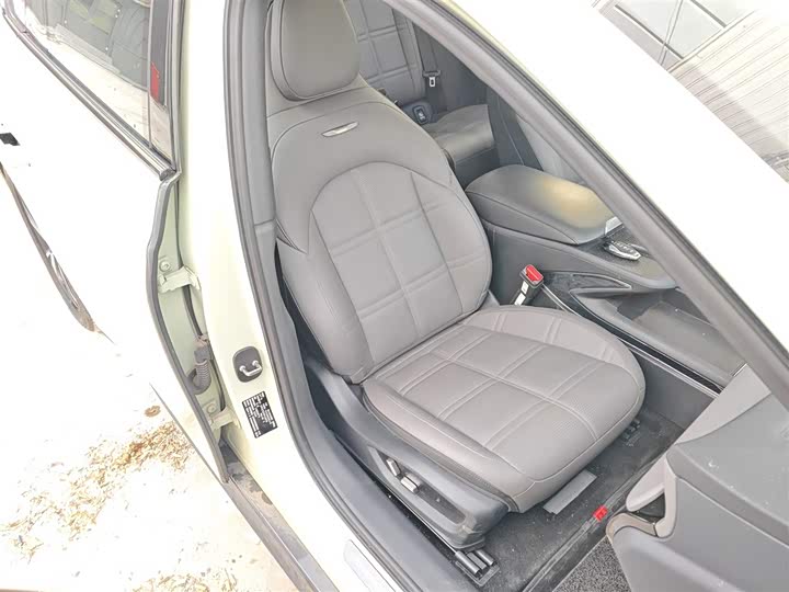 Фото 25 - Hongqi EH7