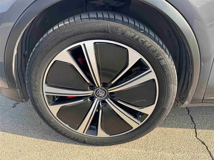 Фото 20 - BYD Tang Hybrid/EV