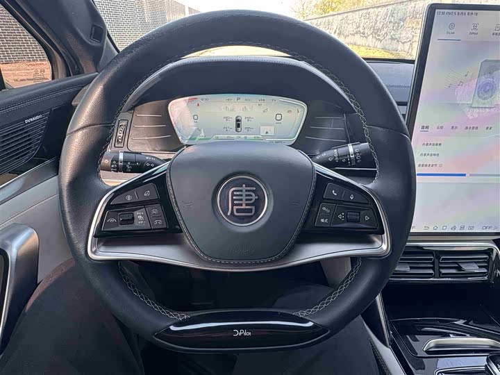 Фото 7 - BYD Tang Hybrid/EV