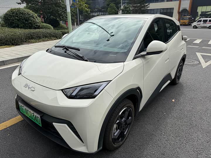 Фото 1 - BYD Seagull