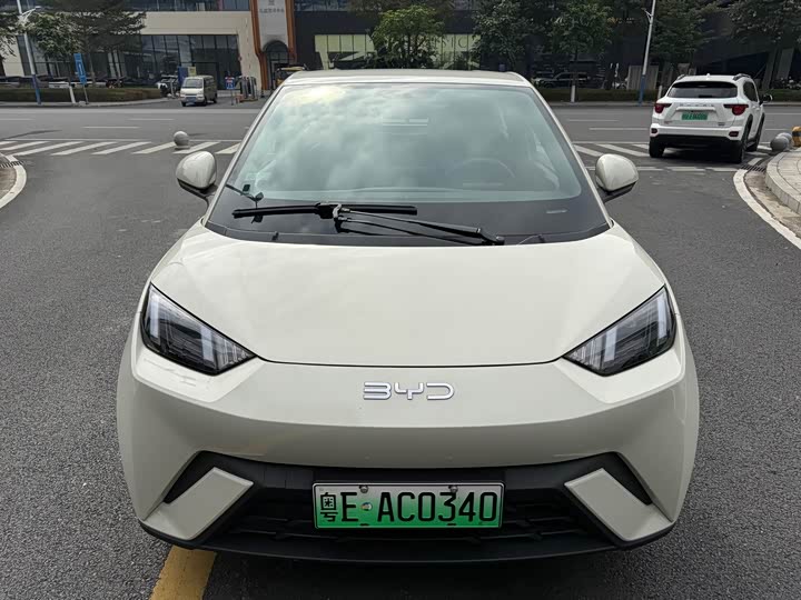 Фото 2 - BYD Seagull