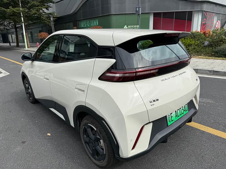 Фото 3 - BYD Seagull