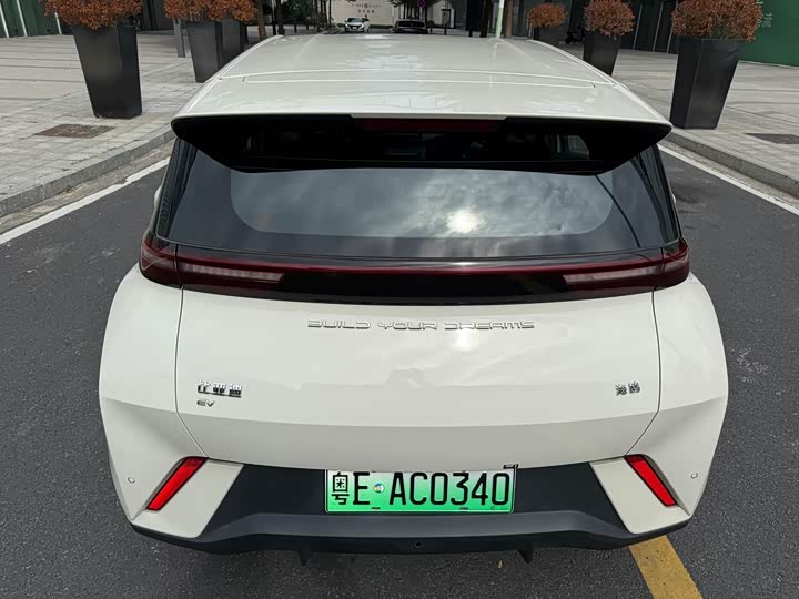 Фото 4 - BYD Seagull