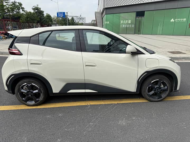 Фото 5 - BYD Seagull