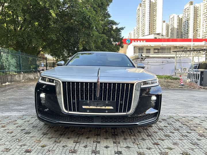 Фото 1 - Hongqi H9