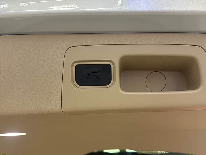 Фото 19 - Buick GL8 Hybrid