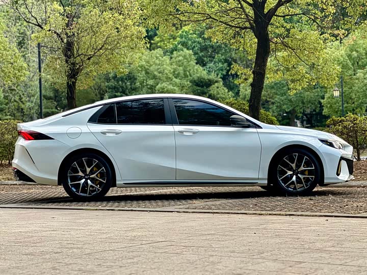 Фото 24 - GAC Trumpchi Empow R