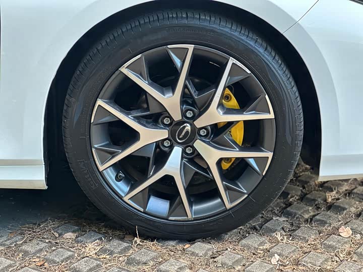 Фото 25 - GAC Trumpchi Empow R